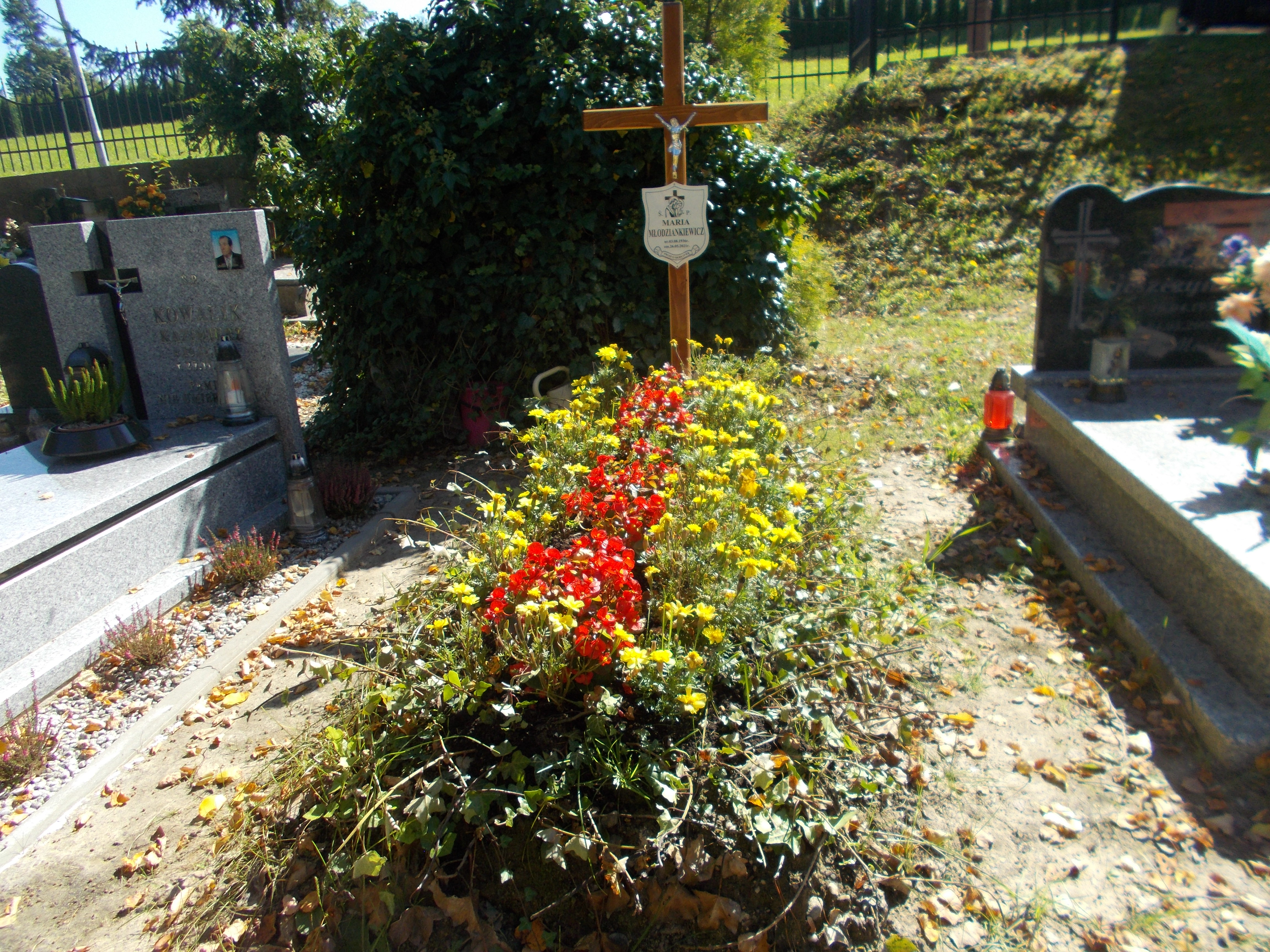 Zdjęcie grobu