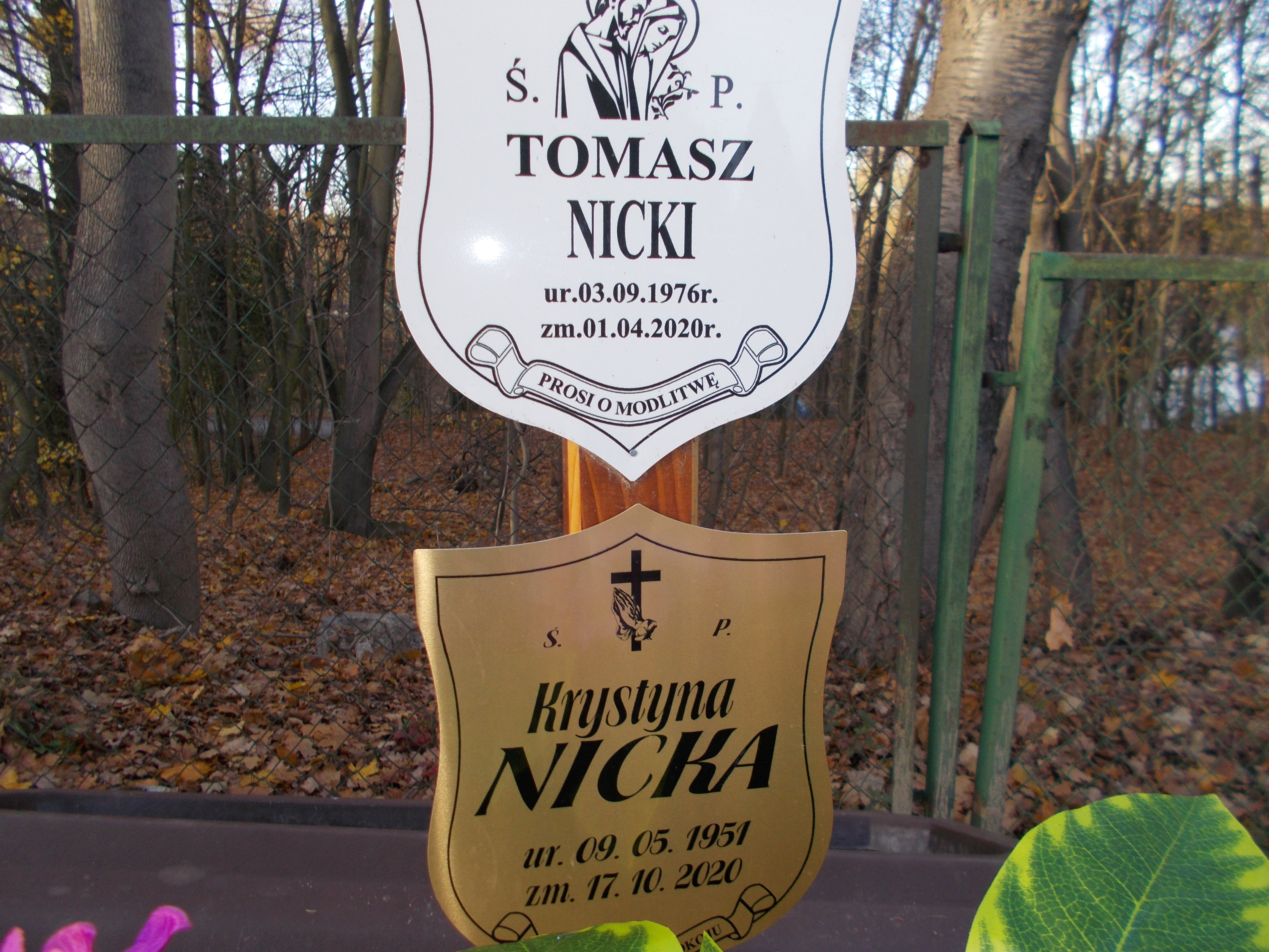 Grób TOMASZ NICKI