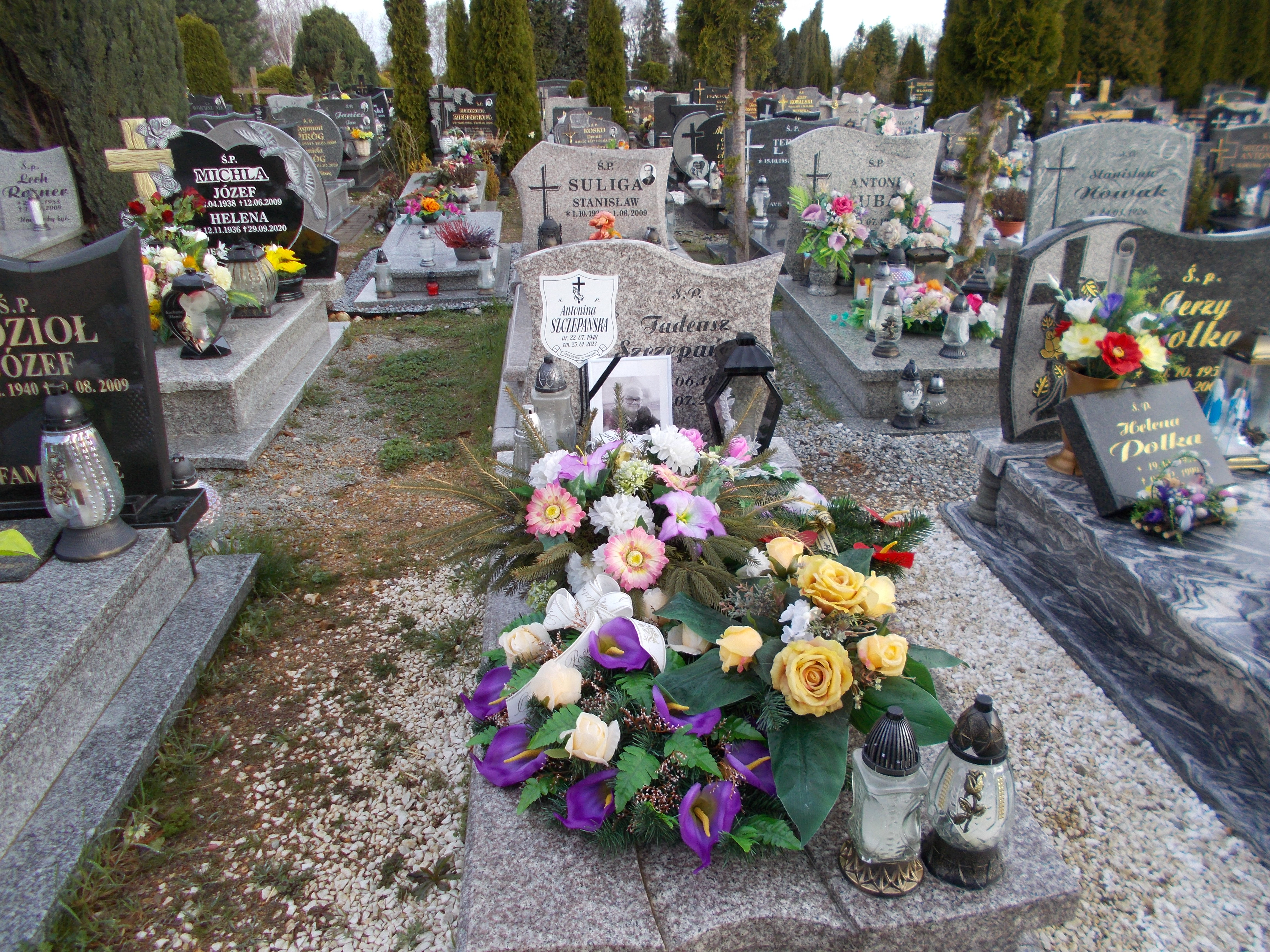 Antonina SZCZEPAŃSKA 1948 Bolesławiec zakład gosp kom - Grobonet - Wyszukiwarka osób pochowanych