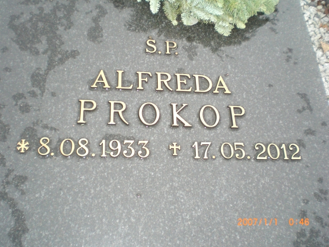 Grób ALFREDA PROKOP