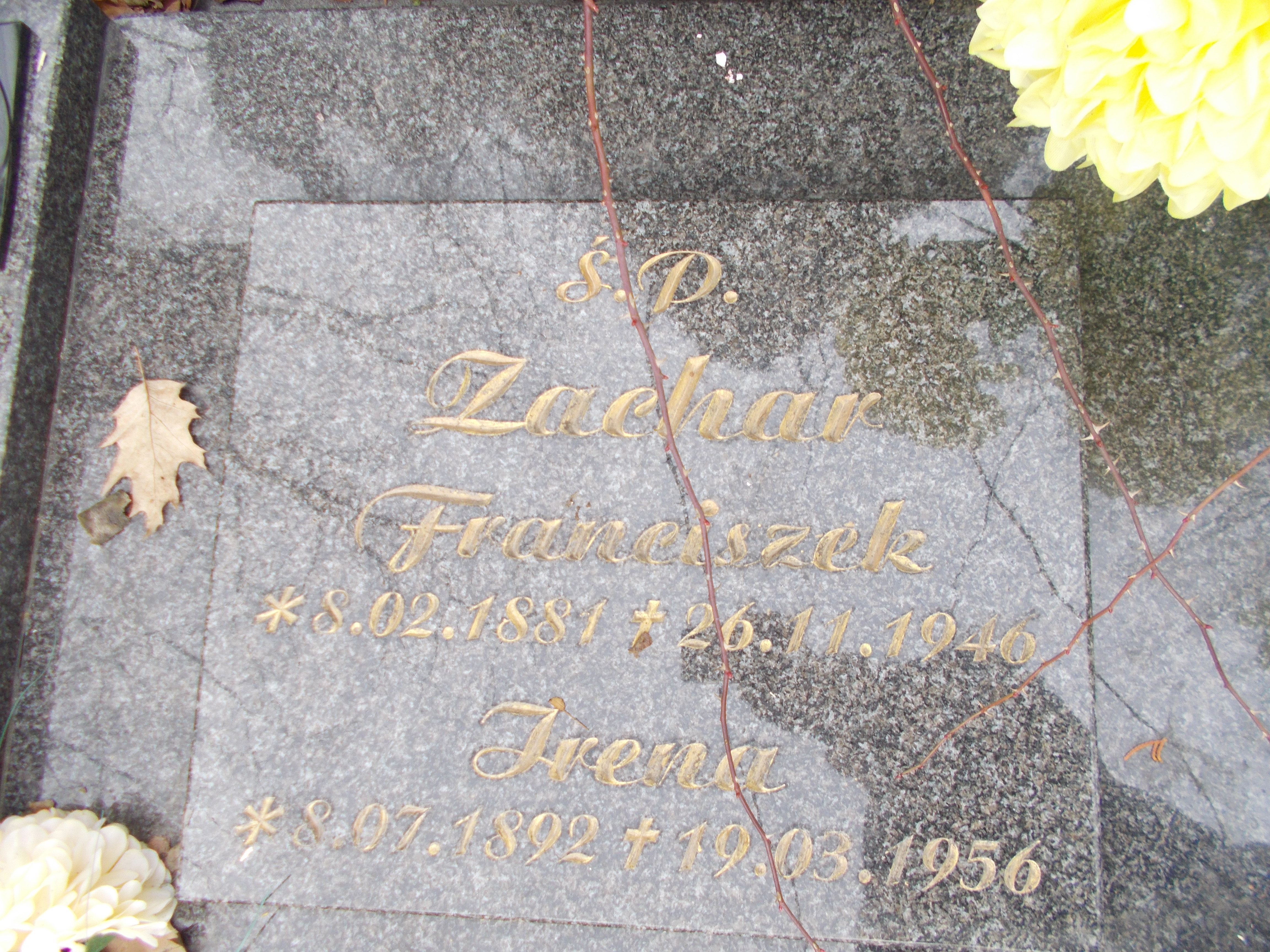 Zdjęcie grobu